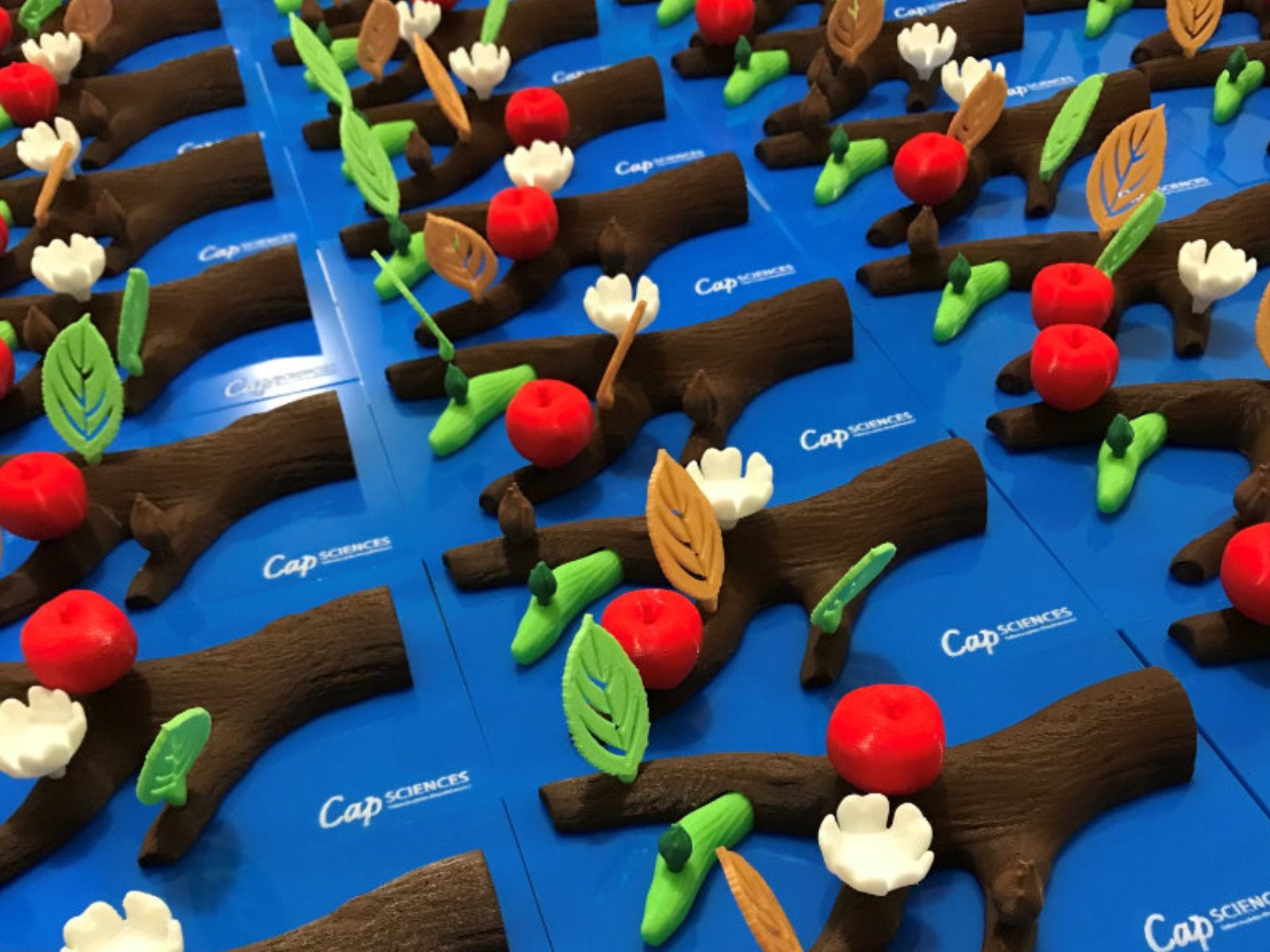 Maquettes éducatives imprimées en 3D pour Cap Sciences