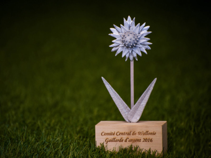 Trophée la Gaillarde d'argent